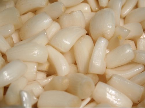 特産品の「鳴門らっきょ」
