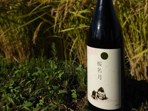 井川町の特産品 日本酒「桜名月」（ふるさと納税返礼品）