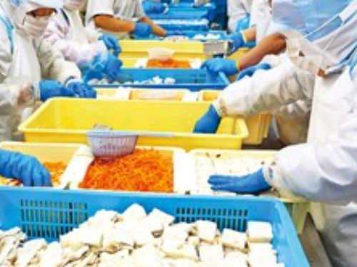 田舎で、マルチワーカーとして一緒に働きませんか？