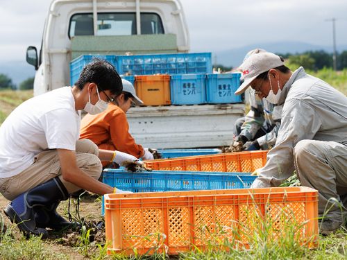 農場での農業体験