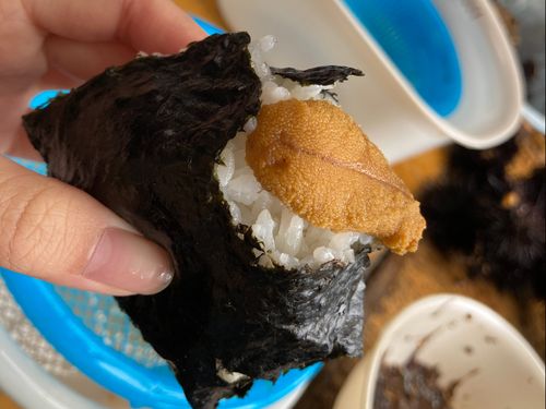 海や山の幸に恵まれ、漁業や農業のお手伝いの機会も盛ん。報酬は美味しい現物支給！