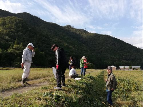 年に3回「田舎暮らし」体験会を開催しています。