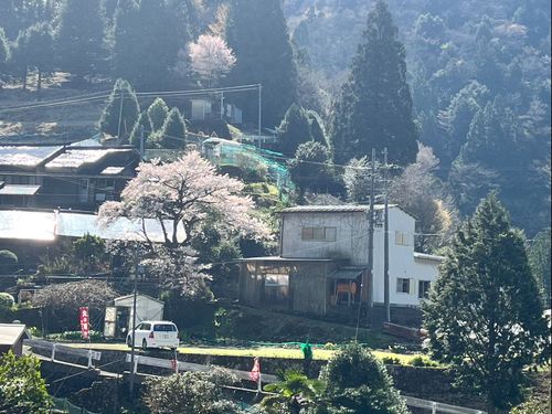 野迫川村 大股地区