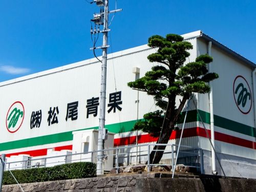 受け入れ先の株式会社松尾青果