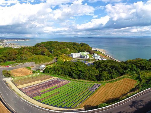 松尾青果がある南島原市は自然の恵みを受け様々な作物や魚介類が豊富です。