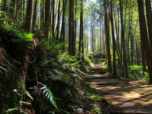 世界遺産「熊野古道」