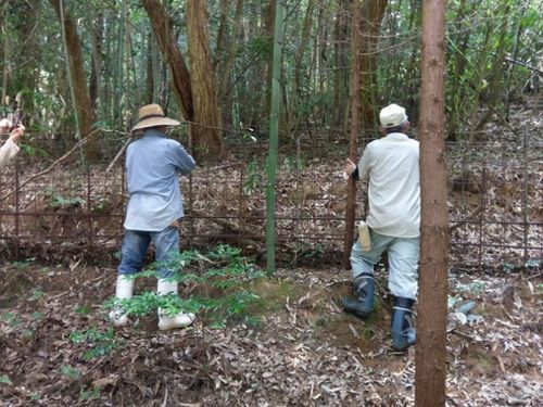 地域でのワイヤーメッシュ設置作業