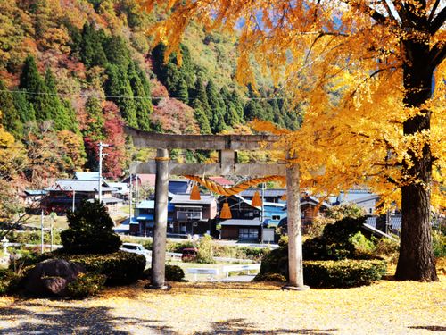 紅葉が美しい　山麓の風景