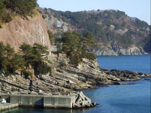 田野畑村にある「ひらなめ海岸」は”白亜紀化石産地”として知られています。