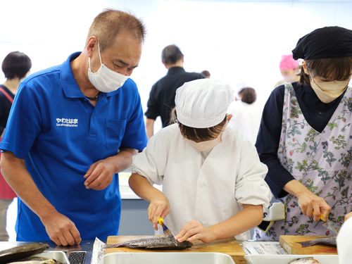 大人に教わりながら魚をさばく小学生