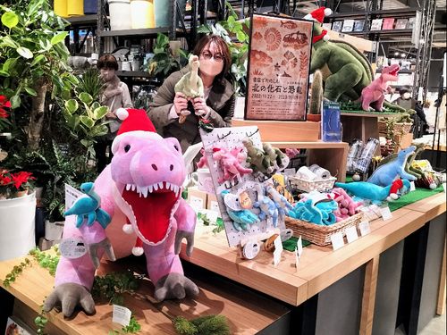 「北の化石と恐竜」展/江別 蔦屋書店  物販風景