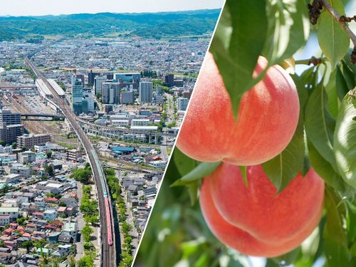 東京から新幹線で約90分。7～8月はモモが旬を迎えます。
