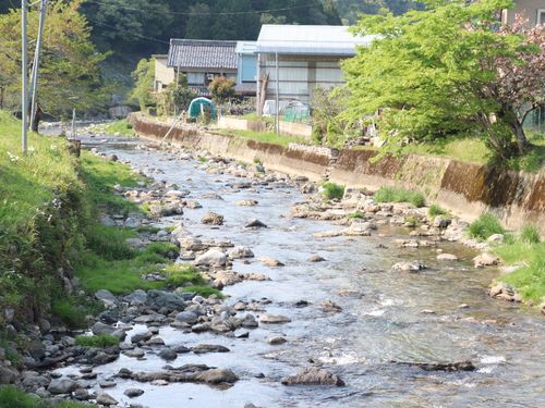 米原のいろんな姿、お見せします！