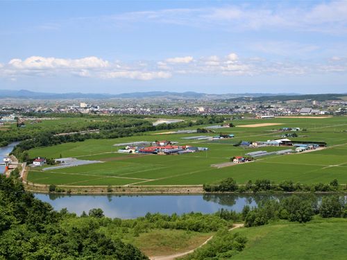 田んぼの緑が日に日に濃くなっています