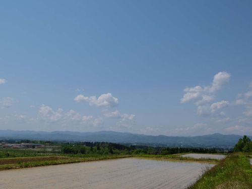 『山の田んぼ』絶景です
