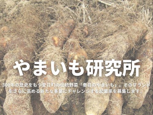 「山のうなぎ」と言われる山芋、栄養価への着目も面白いですよ