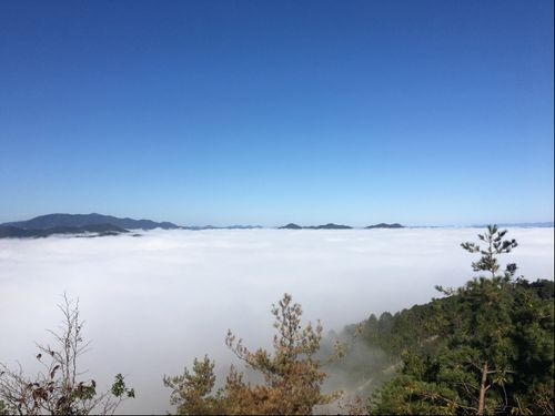 亀岡は晩秋から幻想的な霧の風景が楽しめます