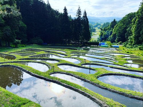 江戸時代から続く棚田「金山棚田」でシェア農園の話を伺います！