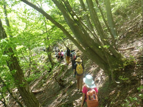 休日に近くの山へ登山をしに行ったときの様子