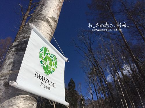 岩泉町の森