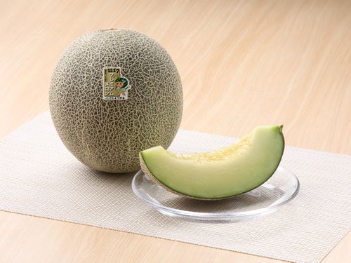つがる市はメロンをはじめ様々な農産物の産地です！農産物が市場に並ぶまでを体験しませんか？