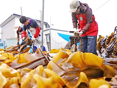 大切なのは踏み出す勇気。