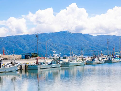 山と海を身近に感じられる「寿都漁港」
