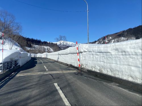 冬の大井沢は雪の企画がいっぱいできます
