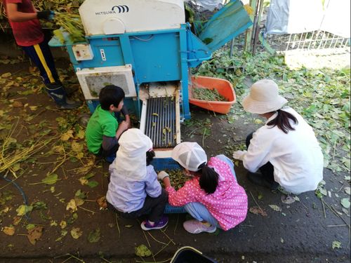 昨年の「里山ボランティア」の様子