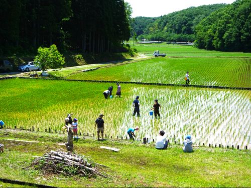 5月：田植えイベント