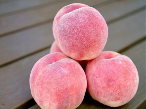 福島市の桃が好きだから、という理由でエントリーするのもアリ！