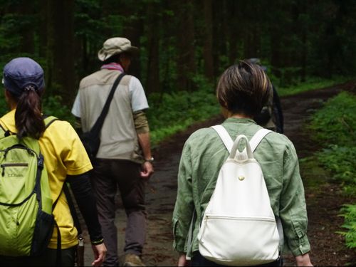 詳しいガイドにより、里山に出かけよう！