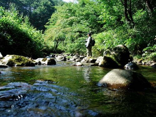 地区内を流れる水原川