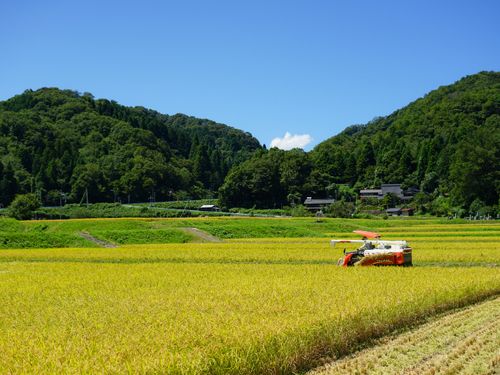 実りの秋