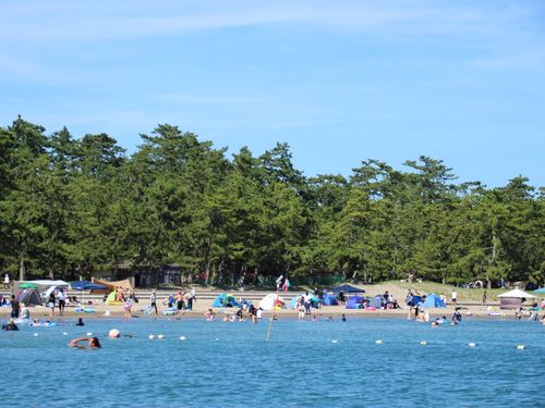 鉢ヶ崎海岸