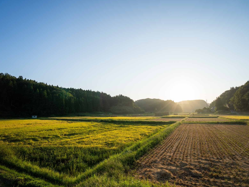 能登町の田園風景