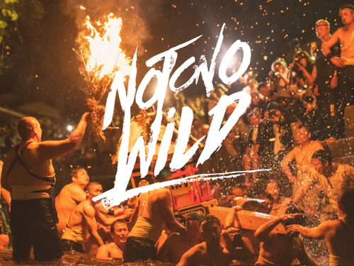 辻野氏制作 「NOTONO WILD」HP　