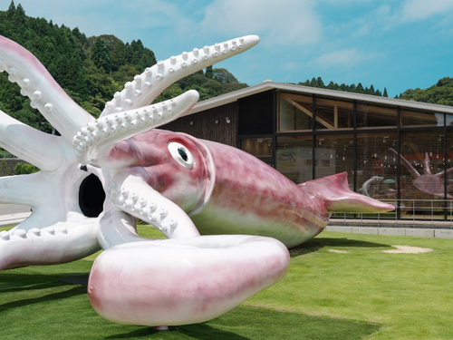 能登町は話題のイカキングのまち！