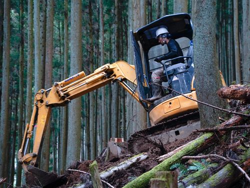 元々は木が植えられていた場所に、道をつけていきます。あらかじめ切る木を決めて切り、ユンボで根っこを取ったり、切った木を使って道や斜面を補強させていきます。