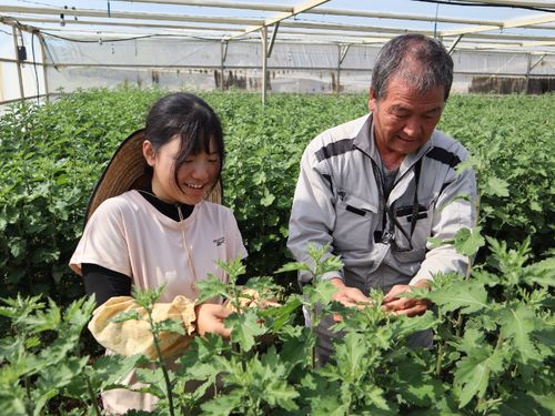 花農家で働いている様子。