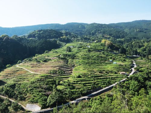 中田の棚田
