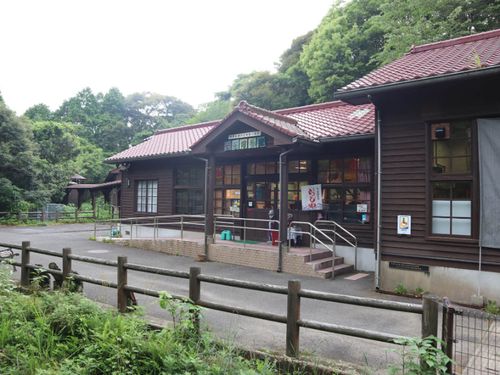 赤い瓦屋根に木枠の窓など、古い昭和の学校のような建物。博物館の前には小川が流れ、裏手には森が広がる