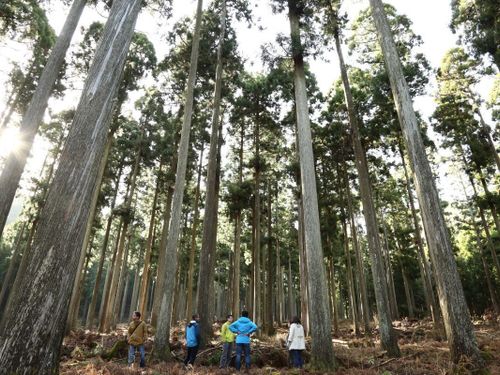 村の面積の約95%が森林。こんなきれいな森が近くにあります。