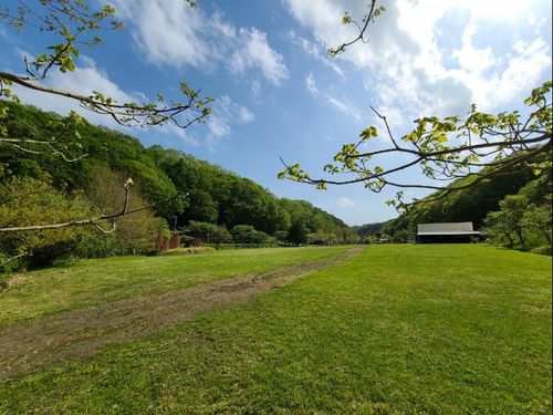 大自然の山に囲まれた温泉の森キャンプ場
