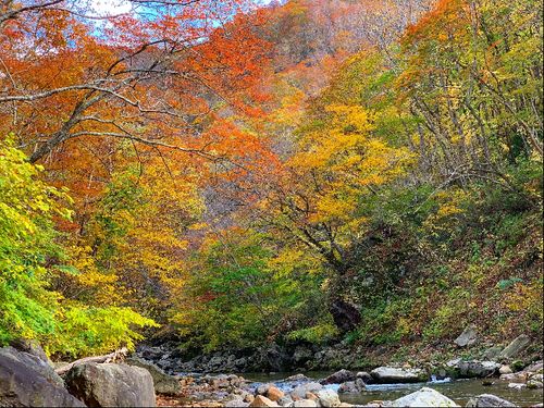 熊石は紅葉狩りでも有名な地域。秋は沢山のキャンプ客も訪れます。