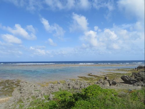 ありのままの自然が広がる島で暮らしてみませんか？