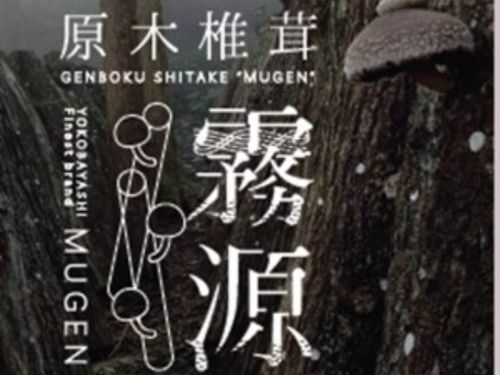 横林産原木椎茸『霧源（MUGEN）』