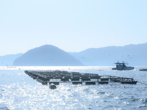 海、山、川など自然環境に恵まれています