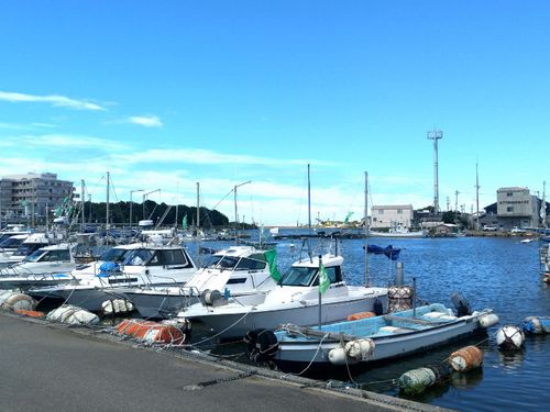 海の玄関口金石港　現在は主に漁業に使われています