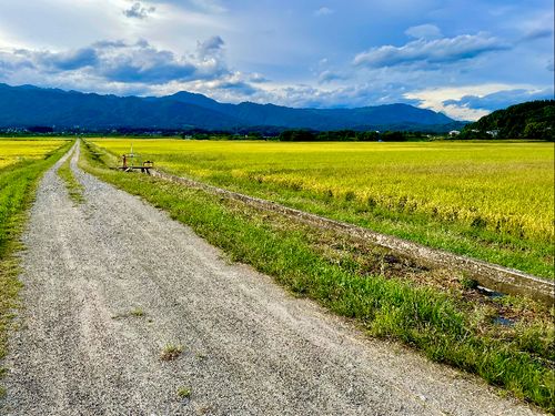 秋の田園風景